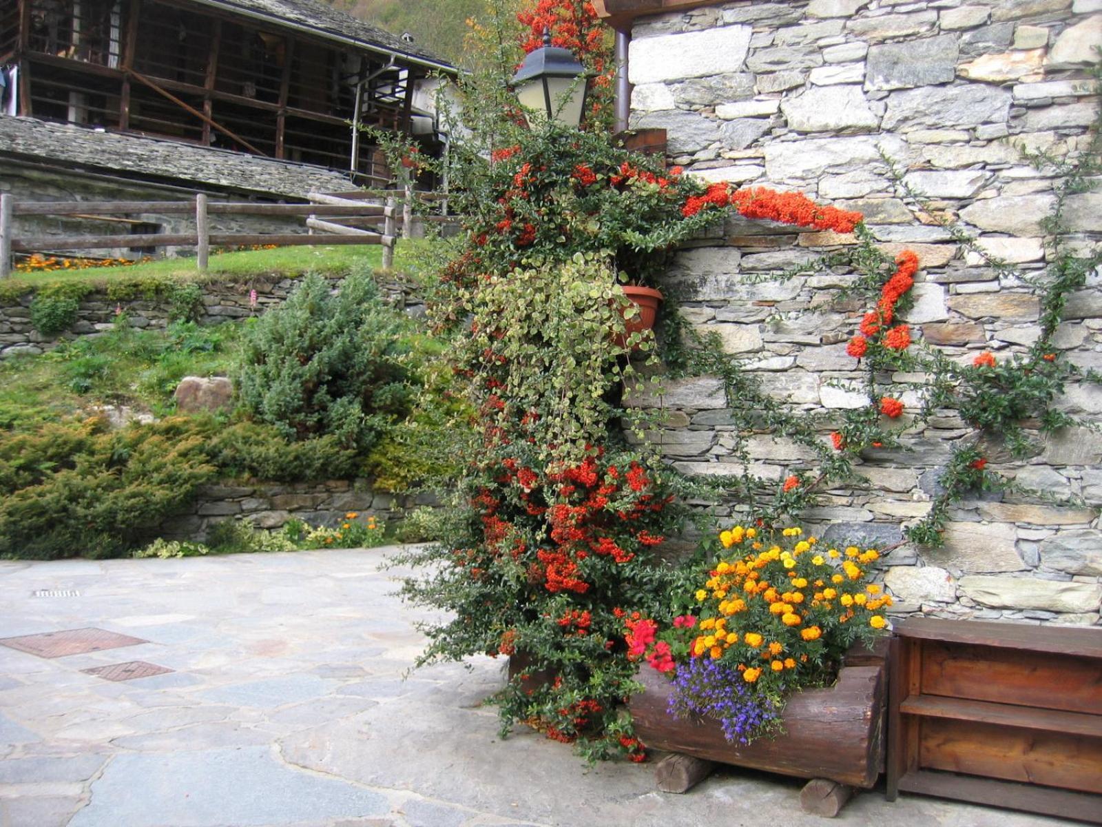 Baita Reale Alagna Valsesia Extérieur photo